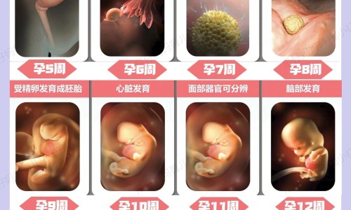 氢溴酸艾司西酞普兰片的副作用网 :分享氢溴酸西酞普兰片与草酸艾司西酞普兰片的区别-氢溴酸艾司西酞普兰片和草酸艾司西酞普兰片的区别知识